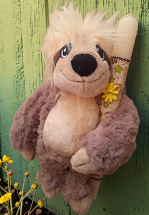 Λαμπάδα Βραδύποδας