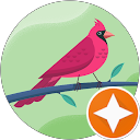 Nasia Tr profile picture